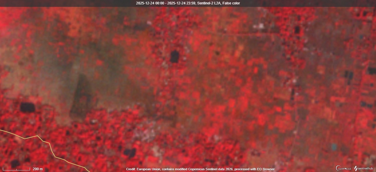 Sentinel-2 False Color — Purba Medinipur Dec 24 2025